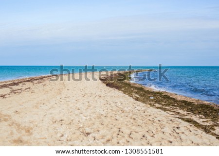 Scenic view of the waves of the blue sea on the sandy shore.
Wild nature.