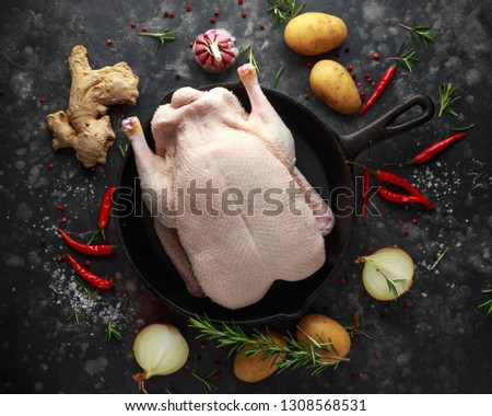 Raw free range duck with spices ready to cook in cast iron skillet, frying pan