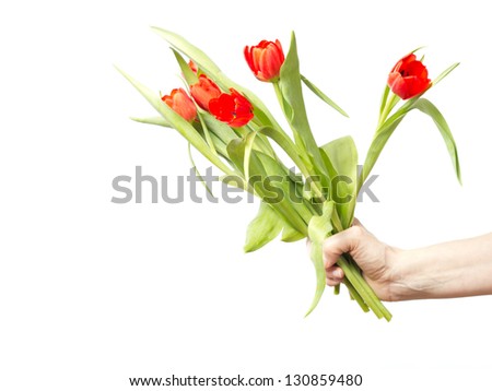 Hand with bunch of tulips