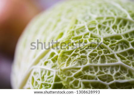 Cabbage leaves close up picture.