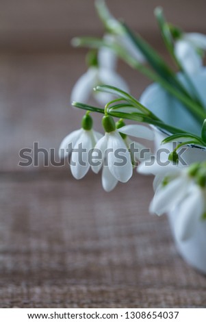 snowdrop on wooden surface
