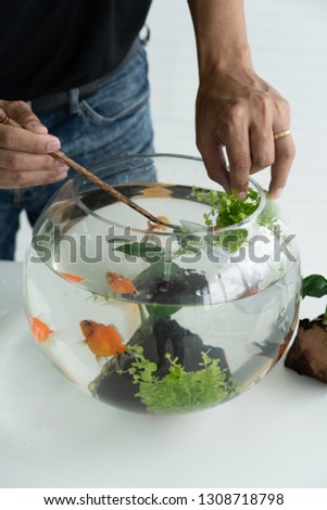 A guy trying to catch a yellow and black goldfish in the glass jar.