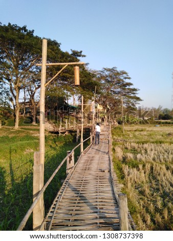 Beautiful bamboo bridge