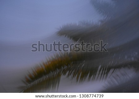 illustrated blurry palm leaves in speedy windy pattern background