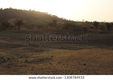 Barren hill during sunset with dried grass
