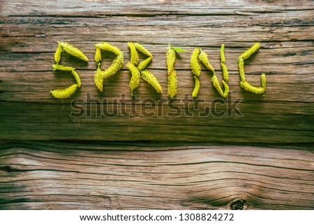 word - spring made from buds and green leaf on wooden board background. empty copy space for inscription. 