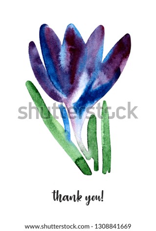 Crocus. illustration flowers. Spring blossoms watercolor painting on white background. Mother Day, wedding, birthday, Easter, Valentine Day. Background for postcards, posters, clothing, web. Pattern.