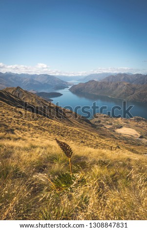 Picture of New Zealand’s beautiful Landscape from Mountain „Rois Peak“. The green/yellow mountain landscape with blue water makes out most of the picture.