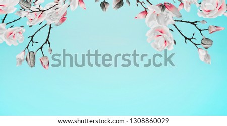 Pretty spring magnolia blossom branches frame at turquoise background, floral border. Springtime concept