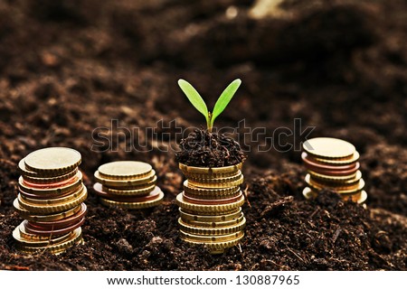 Golden coins in soil with young plant. Money growth concept.