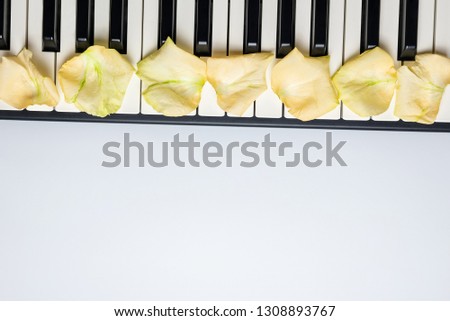 Piano keys with white rose flower petals, isolated, top view, copy space. Romantic concept. Piano or synthesizer keyboard. Classical music instrument for playing romantic music.