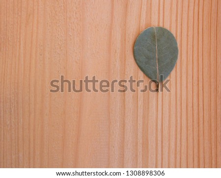 Bay leaf on a wooden Board