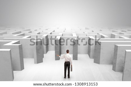 Businessman choosing between entrances in a middle of a maze