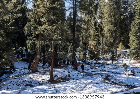 Hikers are walking to "Bayal Camp" on "fairy meadow"The grasslands on the high mountains in northern Pakistan are covered with snow.beautiful scenery landscape on winter season.