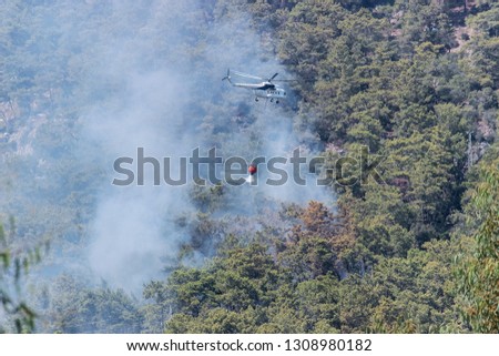 Helicopters and planes extinguish a forest fire in Turkey