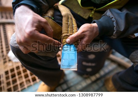 Construction miner worker rigger inspecting 2 tone yellow safety lifting sling ensure is safe prior to use construction site Sydney, Australia  Royalty-Free Stock Photo #1308987799
