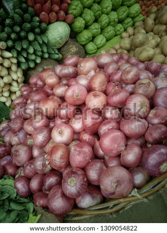 close relatives include the garlic, leek, chive, and Chinese onion.