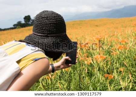 asian woman taking a picture and stand at the yellow tiger lily farm