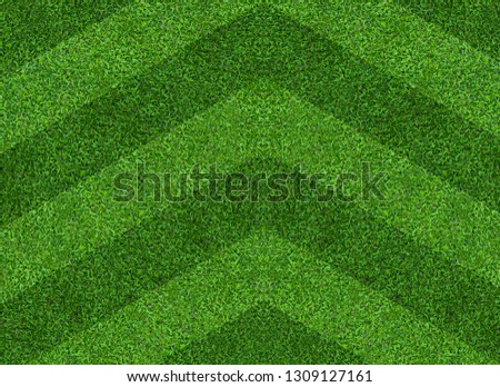 Abstract green grass field background. Green lawn pattern and texture background.