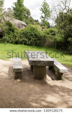 stone table for picnic in the shade of a tree in a forest