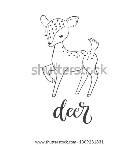 Baby deer vector illustration