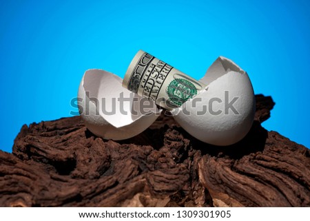 Conceptual photo. A hundred dollar bill rolled out of an egg. Near a piece of wood and a bird feather. Blue background.