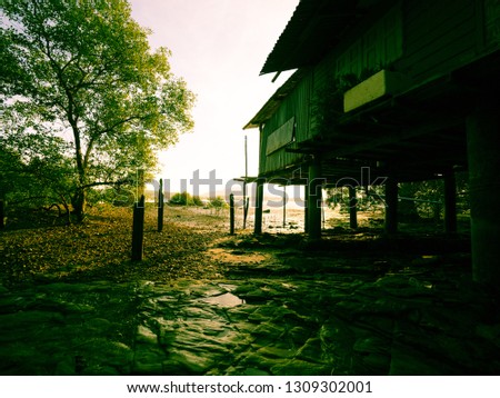 Old house in mangrove forest.