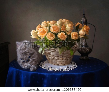Still life with luxurious bouquet of roses and pretty kitty