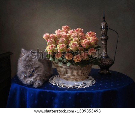 Still life with luxurious bouquet of roses and pretty kitty