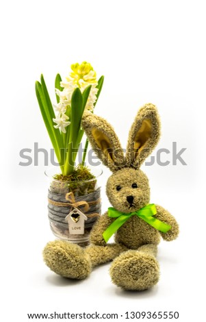 Rabbit / Easter bunny with blooming hyacinth