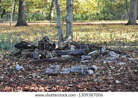 
Pieces of cut logs, lying on the grass, in a park.
