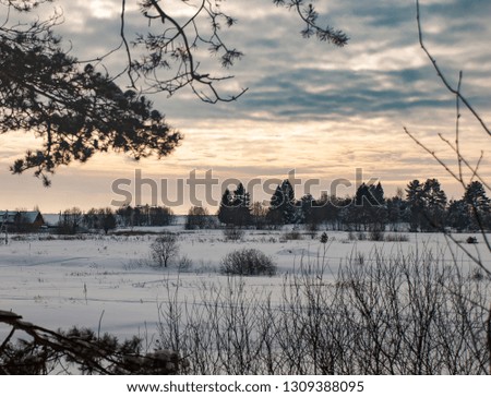 Wild nature of midle Russia. Lot of snow, sun and winter