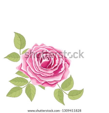 The rose elegant card. Beautiful bouquet of pink flowers and leaves. Floral arrangement isolated on background. Design greeting card and invitation of the wedding, birthday. Vector illustration. Paper