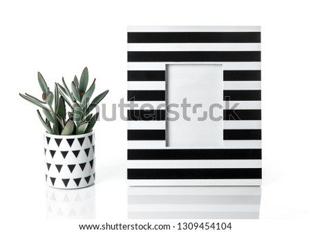 Panda plant and black and white striped picture frame. Stylish home decor.