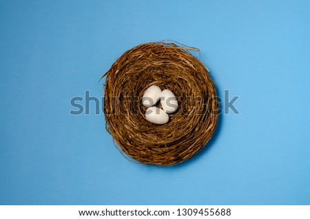 Easter nest on blue background. White Easter eggs in nest on pastel color background with space. Blue background 