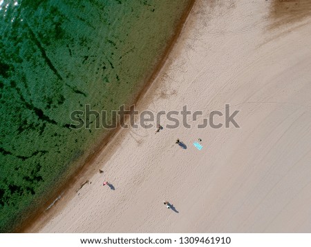 People bathing in the sun, swimming and playing games on the beach or walking dogs. Tourists on the sand beach of lake Canada. North America. Aerial view.