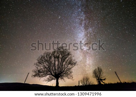 Rural landscape at night. Dark trees under black starry sky with Milky Way constellation.