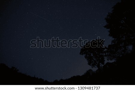 A meteor and stars with tree silhouette in foreground