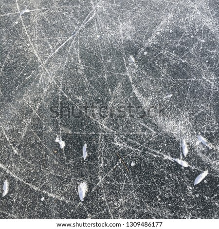 Ice skate marks on a frozen pond in winter