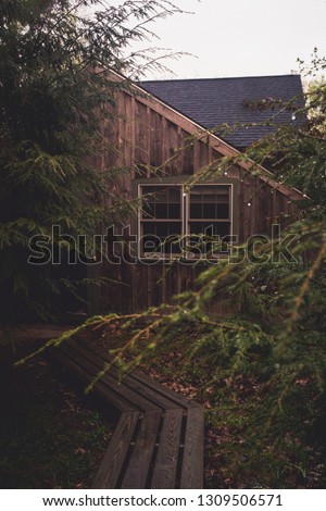 moody cabin in the woods