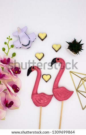 Composition from two lollipops in the form beautiful flamingo, four chocolate hearts, golden pyramid, flower pot, a model of the plane and other decoration