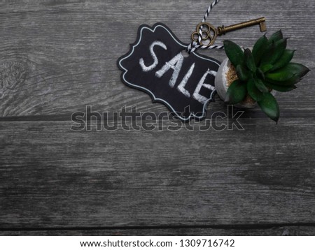 Key and cactus isolated on wooden background with text Sale