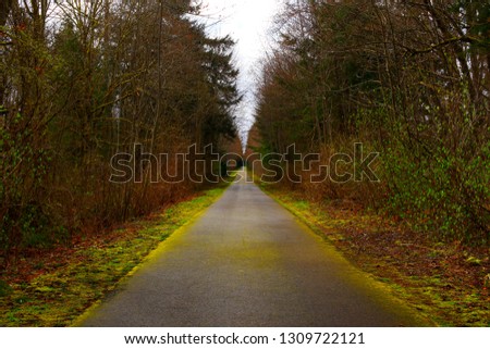 a picture of an exterior Pacific Northwest forest Multi use path