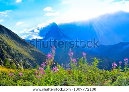 Matterhorn moutain. Beautiful Swiss Alps scene during trekking in summer at Zermatt, Switzerland, Europe.  This picture was taken against the sun.