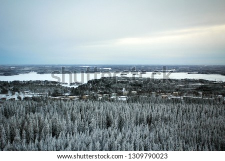 Scenic winter landscape of Kuopio and surrounding forest and frozen lakes from Puijo tower, Finland