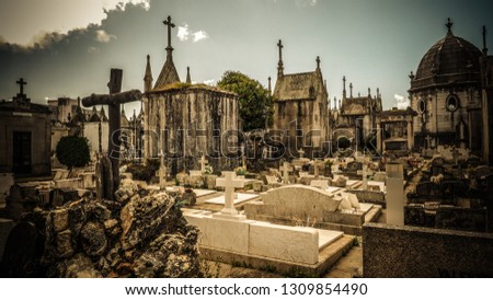Anonymous images of European Christian cemeteries.
all personal information has been deliberately erased, only neutral words such as "family" being visible