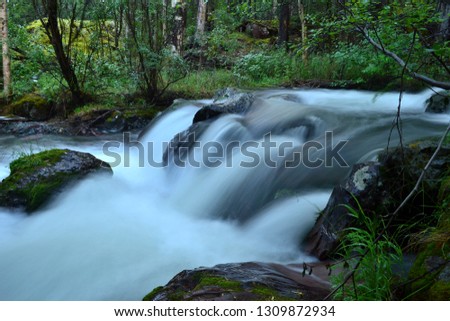 Rapids on a small forest stream, photo on a long exposure. The banks of the brook are overgrown with moss and lush green vegetation. Tyva, Russia