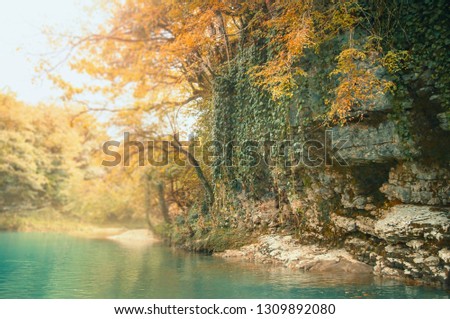 Georgia autumn nature in Martvili Canyon, orange and green creepers and leaves on high stone cliffs above a transparent warm azure mountain river, a heavenly place for tourist recreation