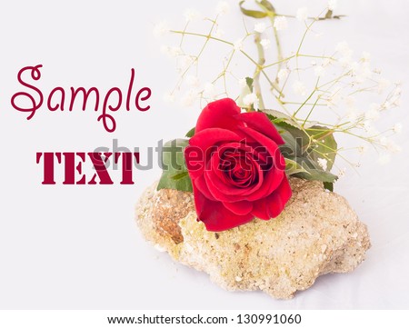 Beautiful red rose and white flowers on the rough stone. postcard