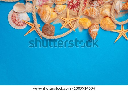 Flat lay. Top view. Frame of shells of various kinds on a blue background.
